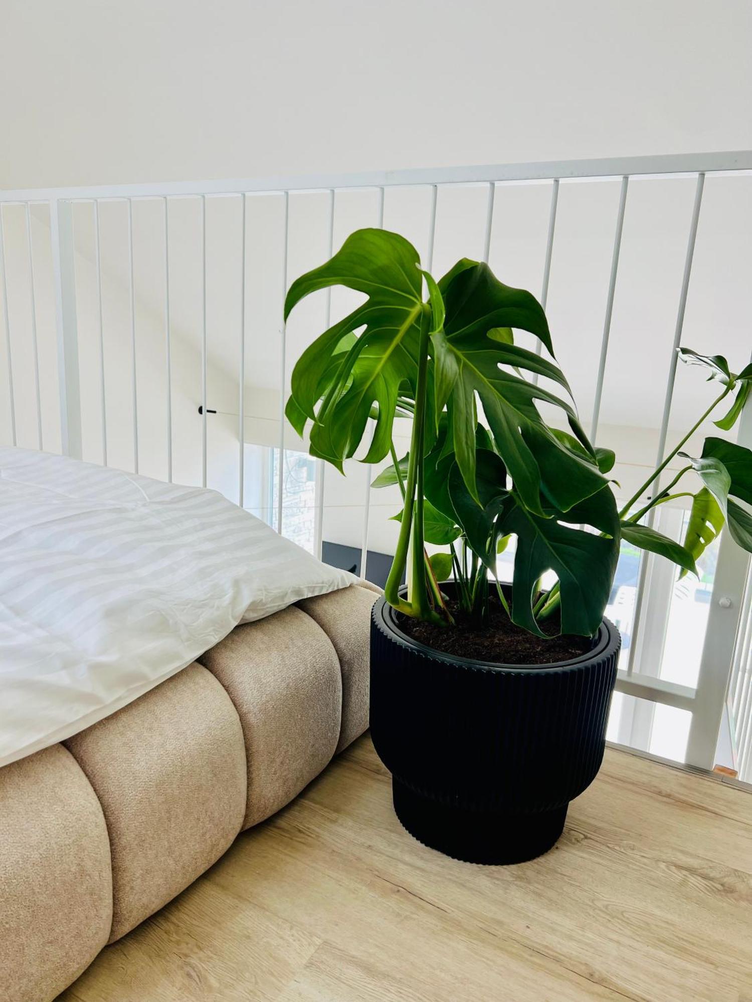 Palavske Apartmany Original 파블로프 외부 사진